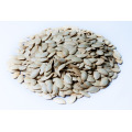 Best Quality China Manufacturer White Pumpkin Seeds